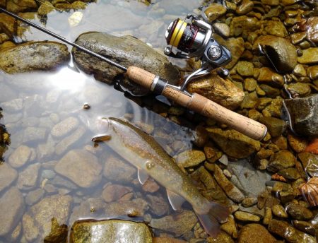 渓流ミノーイング　大イワナ！